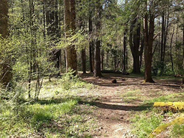 Backcountry Camp 57 Picture 6