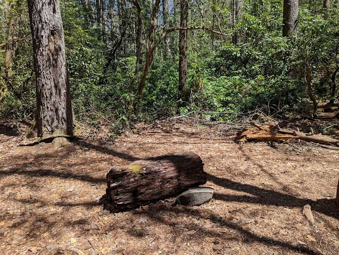 Backcountry Camp 59 Picture 1