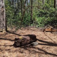 Backcountry Camp 59 ico