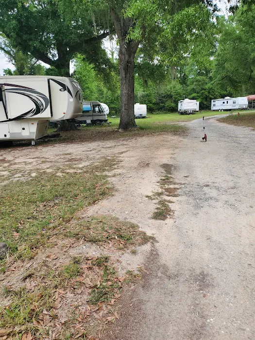 Shady Oaks RV Park Picture 4