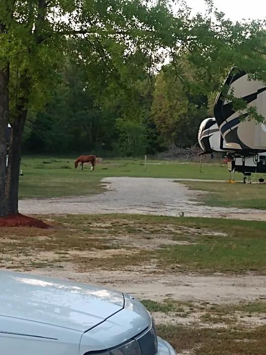Just friends Rv park Picture 3