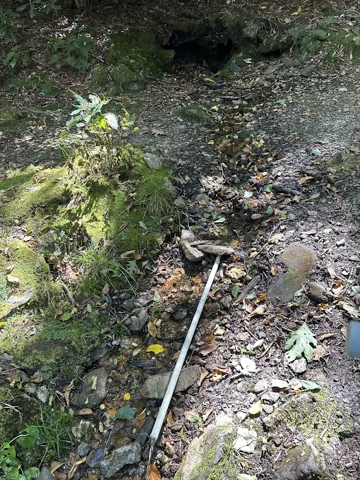 Cold Spring Shelter Picture 8