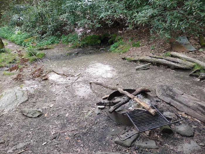 Cold Spring Shelter Picture 6
