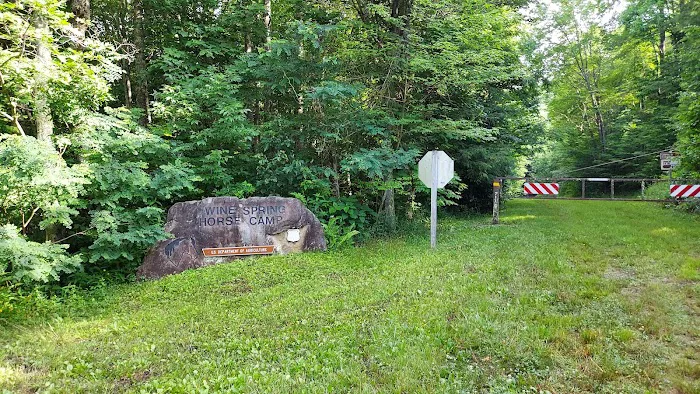 Wine Spring Horse Camp Picture 5