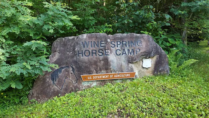 Wine Spring Horse Camp Picture 7