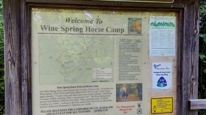 Wine Spring Horse Camp Picture 8