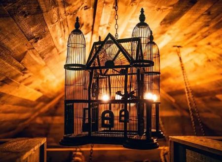 Magical Mountain Resorts, The Enchanted Forest