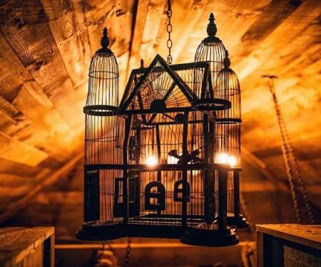 Magical Mountain Resorts, The Enchanted Forest