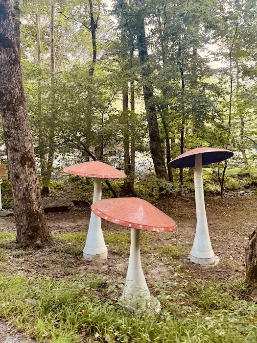 Magical Mountain Resorts, The Enchanted Forest Picture 4