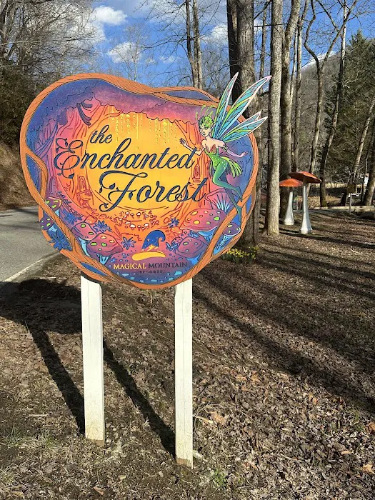 Magical Mountain Resorts, The Enchanted Forest Picture 6