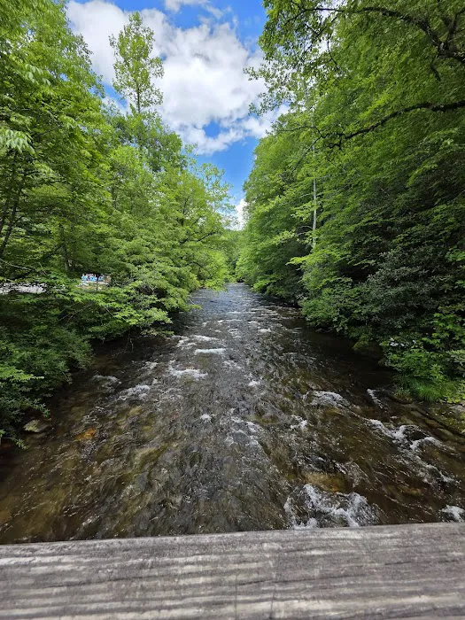 Smoky Mountain Campground Picture 8