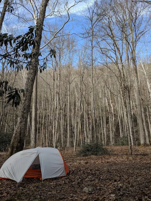 Backcountry Camp 24 Picture 4