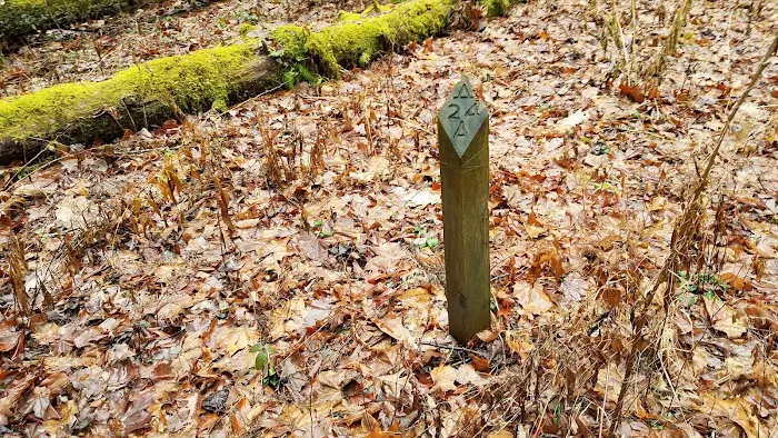 Backcountry Camp 24 Picture 6