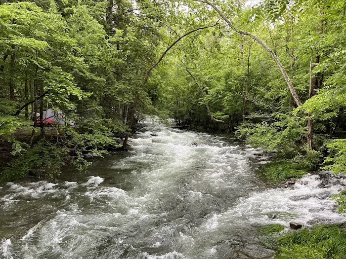 Elkmont Campground Picture 3