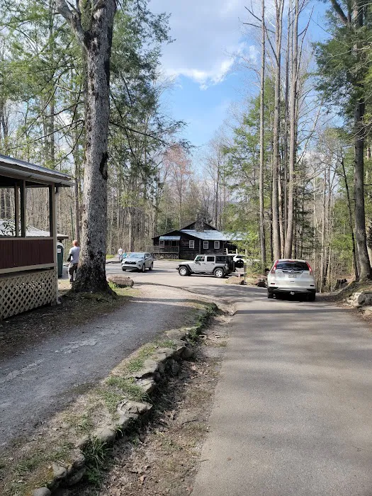 Elkmont Campground Picture 4