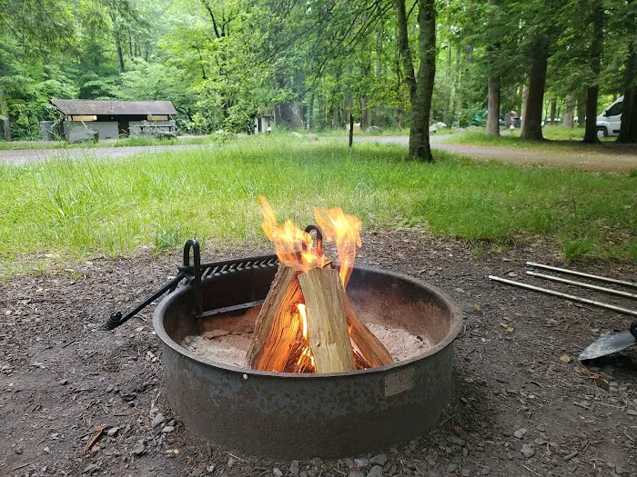 Elkmont Campground Picture 8