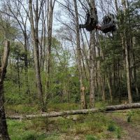 Backcountry Camp 23 ico