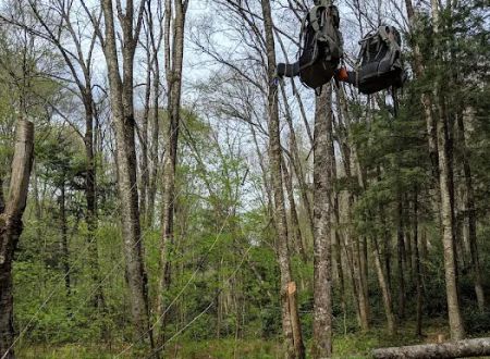 Backcountry Camp 23