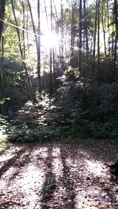 Backcountry Camp 23 Picture 4
