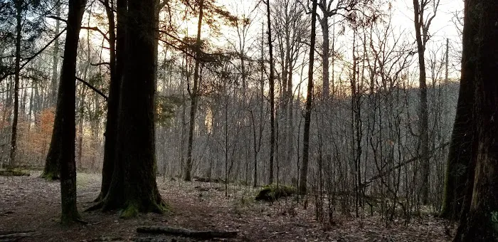 Backcountry Camp 26 Picture 2