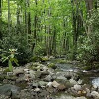 Backcountry Campsite #30 ico
