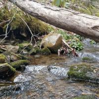 Backcountry Camp 27 ico