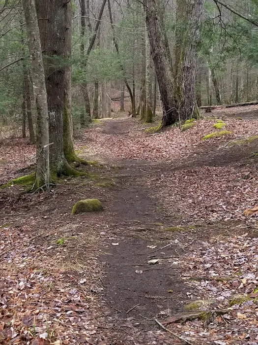 Backcountry Camp 20 Picture 1