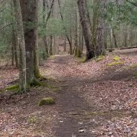Backcountry Camp 20 ico