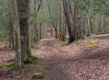 Backcountry Camp 20