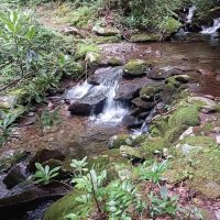 Backcountry Campsite #28 ico