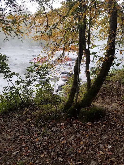 Rock Creek Campground Picture 5