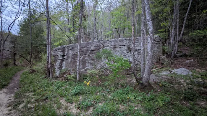 Rock Creek Campground Picture 10
