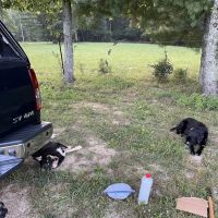 Clear Creek Campground ico