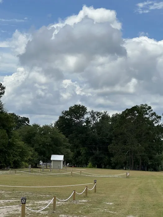 Pecans and Pines RV Park Picture 2
