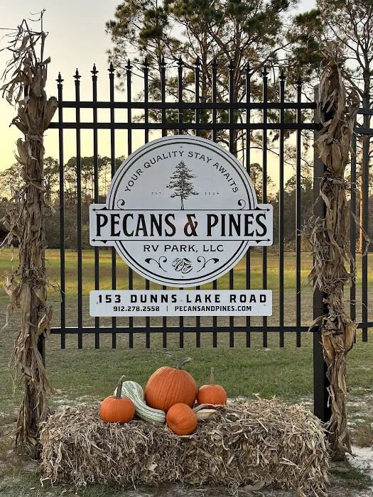 Pecans and Pines RV Park Picture 5