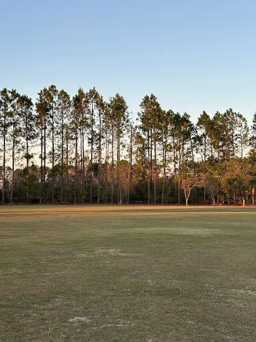 Pecans and Pines RV Park Picture 9