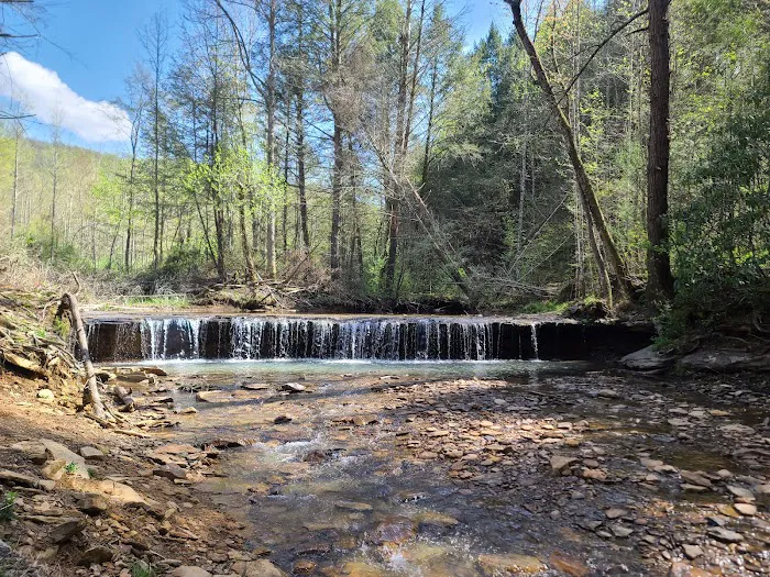 Brimstone Campground Picture 5