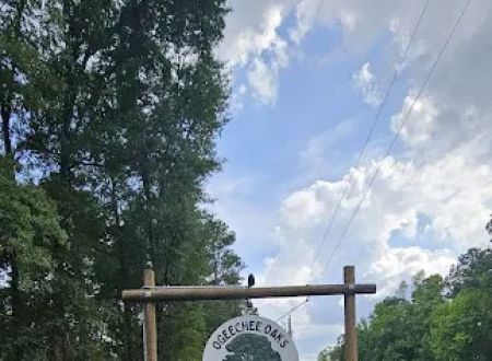 Ogeechee Oaks RV Park