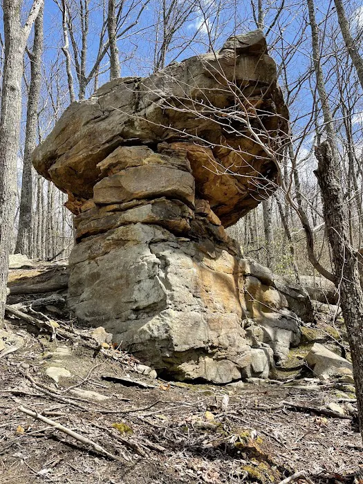 WILDCAT CABIN’S NEAR BRIMSTONE AND TWRA Picture 5