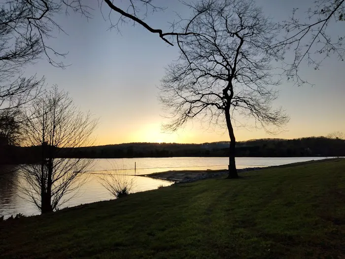Riley Creek Campground Picture 2