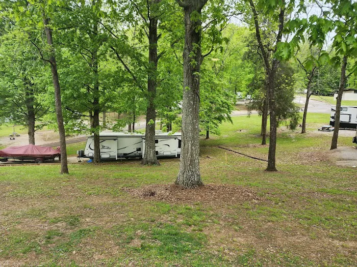 Riley Creek Campground Picture 5