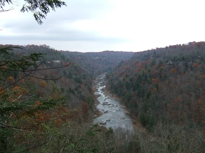 Big Fork Campground Picture 2