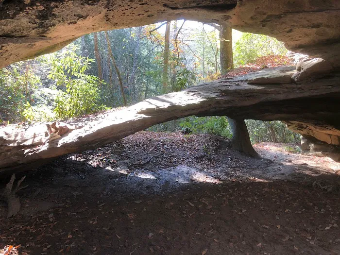Big Fork Campground Picture 6