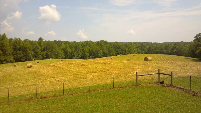 Big Fork Campground Picture 5