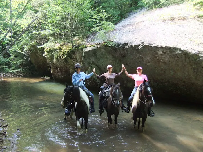 Big Fork Campground Picture 8
