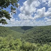 Buck Run Horse Campground LLC ico