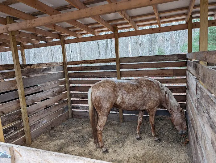 Buck Run Horse Campground LLC Picture 3