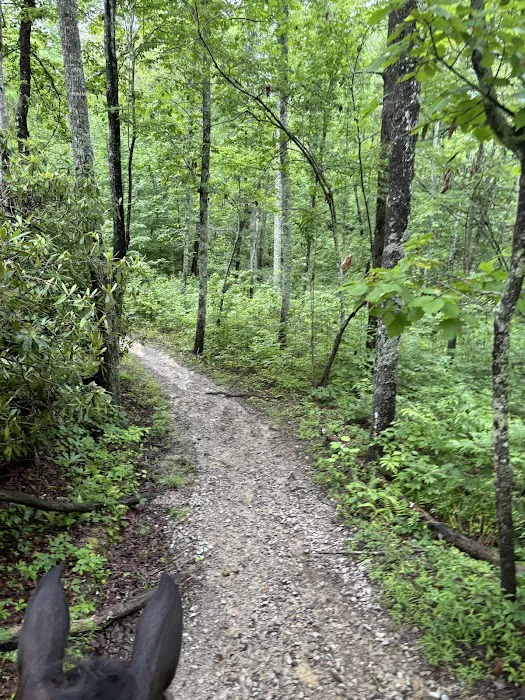 Buck Run Horse Campground LLC Picture 5