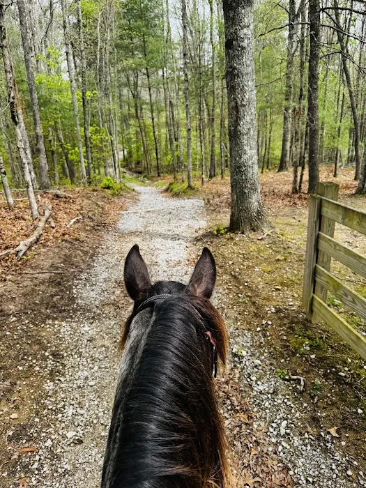 Buck Run Horse Campground LLC Picture 9
