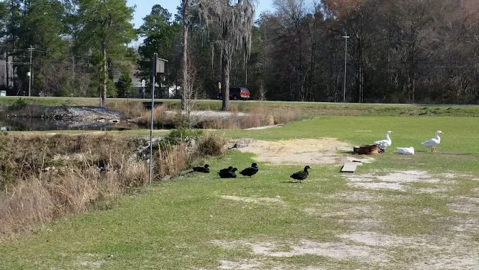 Cain's Creekside RV Park Picture 8